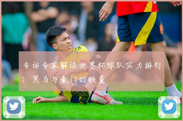 专访专家解读世界杯球队实力排行:黑马与豪门的较量