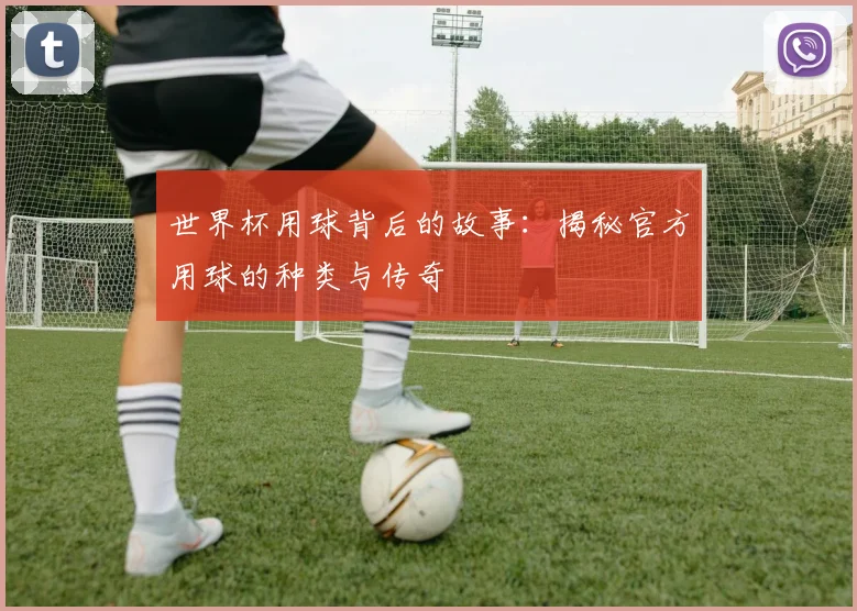世界杯用球背后的故事:揭秘官方用球的种类与传奇