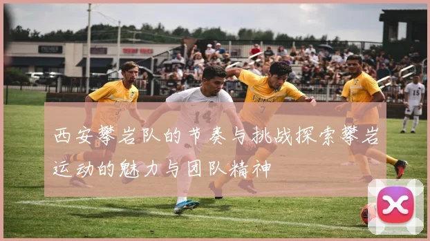 西安攀岩队的节奏与挑战探索攀岩运动的魅力与团队精神