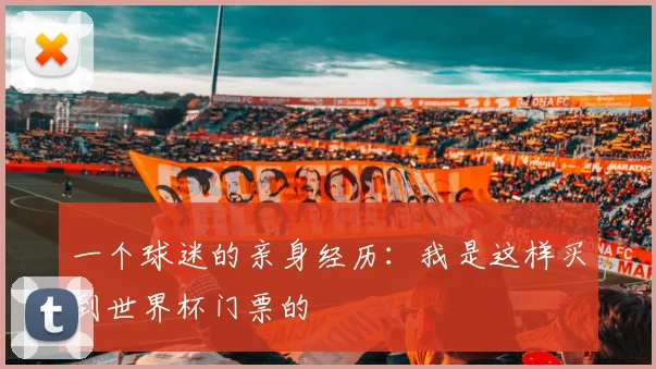 一个球迷的亲身经历：我是这样买到世界杯门票的